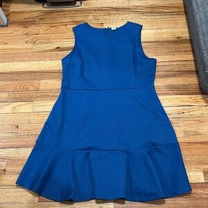 Royal blue sleeve less fish Tail Dress. Outside decorativ e zipper